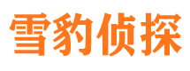 南阳找人公司